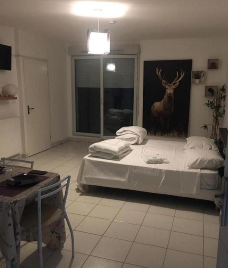 Chaleureux Appartement *